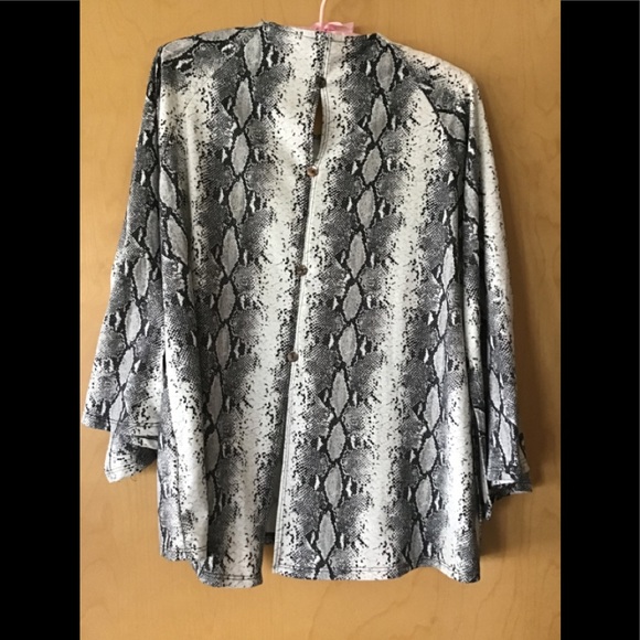 Coin 1804 python top - Picture 4 of 4